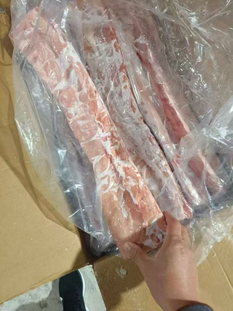龙骨