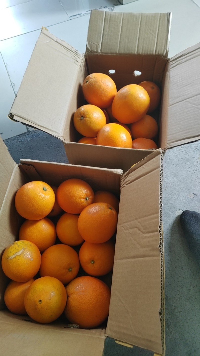纯甜纽荷尔脐橙