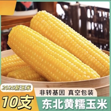 黑龙江鲜食玉米（金糯262）