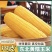 黑龙江鲜食玉米（金糯262）