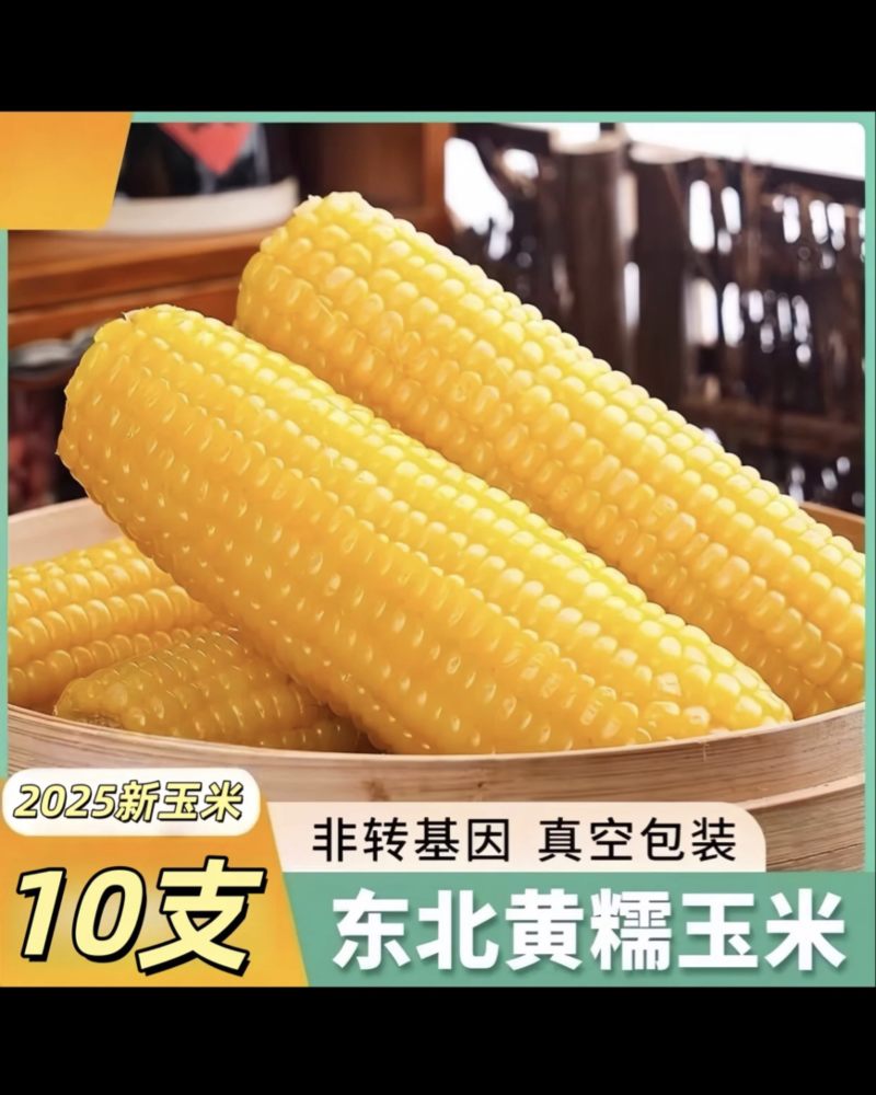 黑龙江鲜食玉米（金糯262）