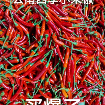 精选干辣椒香辣红辣椒干家庭必备手工挑选
