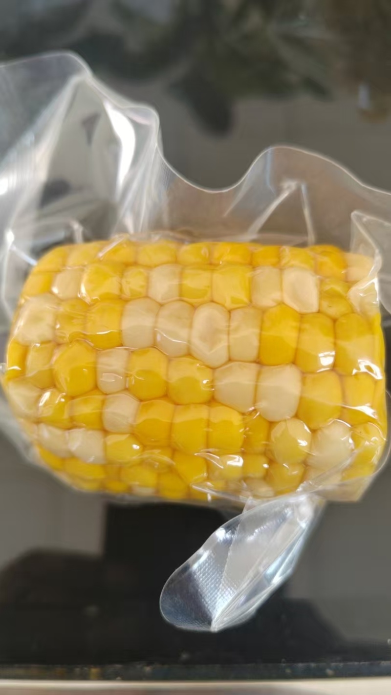 朔州黄糯玉米和云南双色水果玉米
