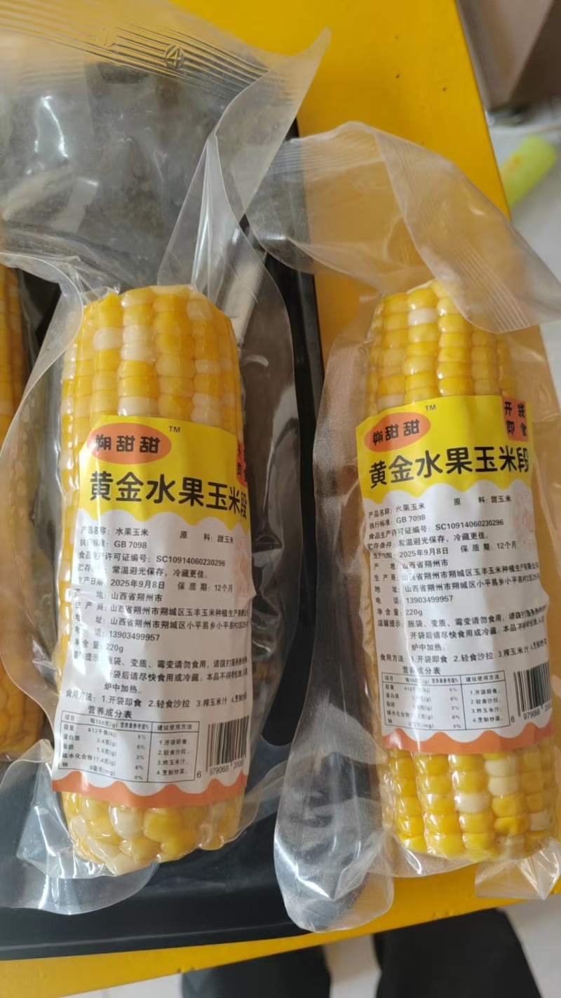 朔州黄糯玉米和云南双色水果玉米