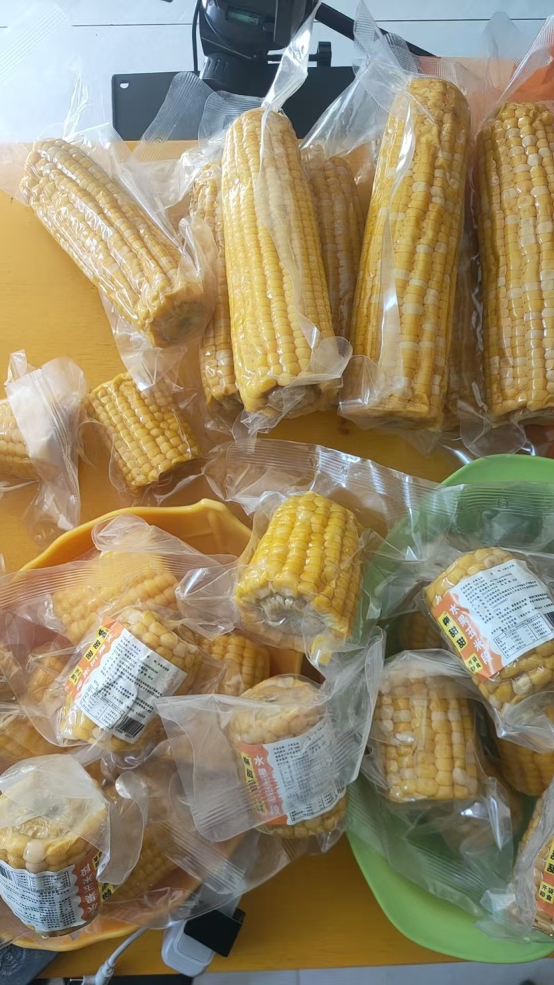 朔州黄糯玉米和云南双色水果玉米