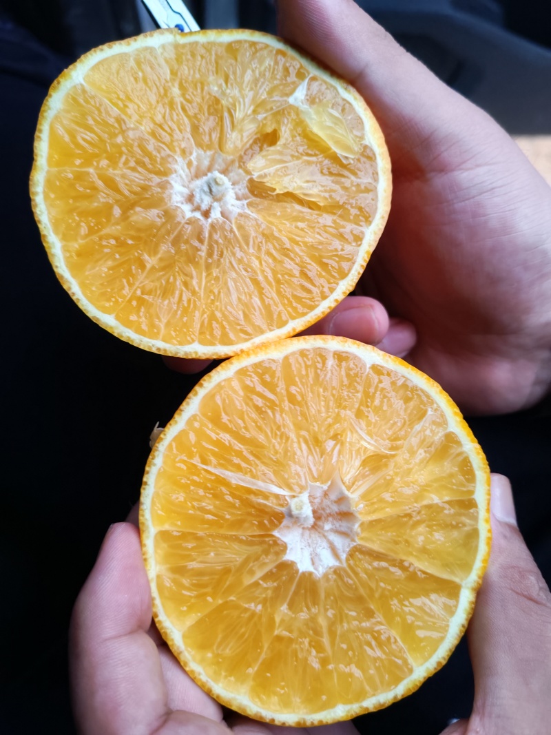 红美人降价提醒