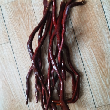 鹿茸菌（鹿角灵芝）