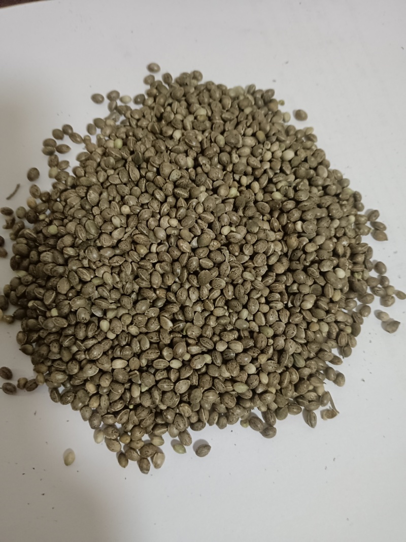 火麻子
