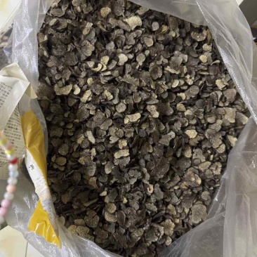 松露货量充足