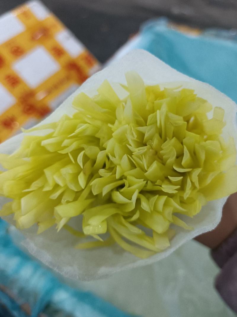 精品韭黄