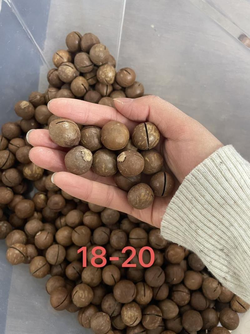夏威夷果一件代发，大货批发