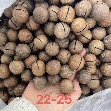 夏威夷果一件代发，大货批发