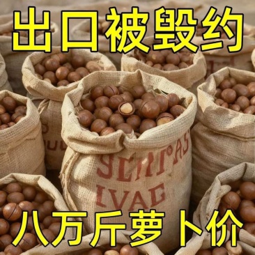 夏威夷果大量有货全国接单发货各种规格都有货价格有优势