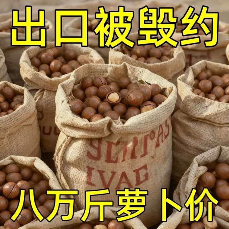 夏威夷果大量有货全国接单发货各种规格都有货价格有优势