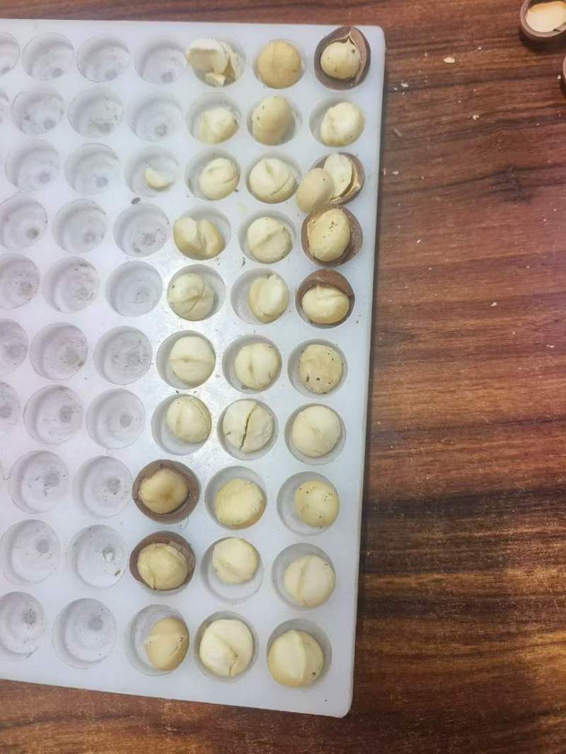 夏威夷果大量有货全国接单发货各种规格都有货价格有优势