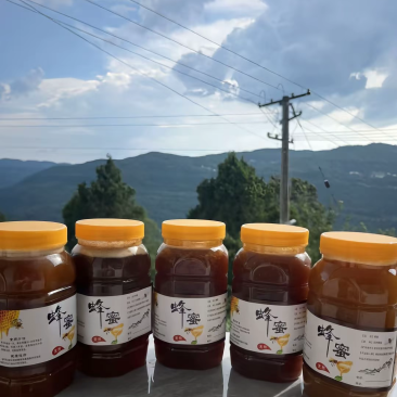 纯野生土蜂蜜