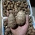 精品芋头