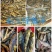 新鲜鱼干