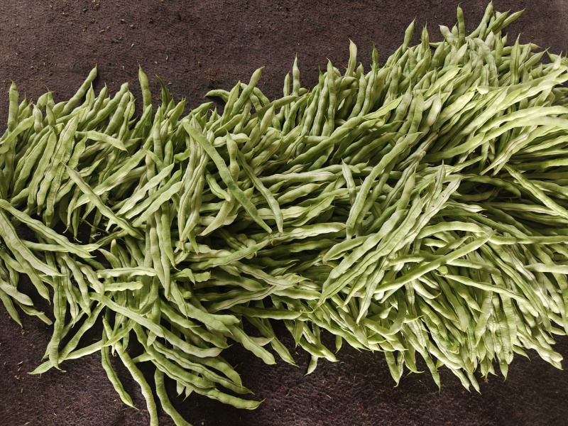 白芸豆