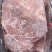 带皮五花肉厂家直销价格便宜质量保证