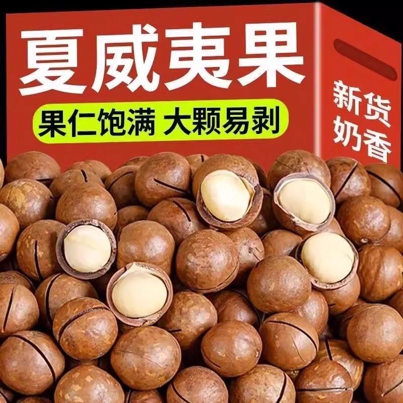 新货5A大颗粒奶油味夏威夷果批发各大电商平台一件代发
