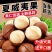 新货5A大颗粒奶油味夏威夷果批发各大电商平台一件代发