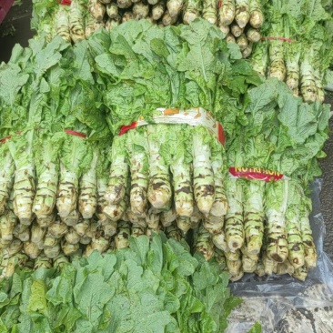 个头小净菜