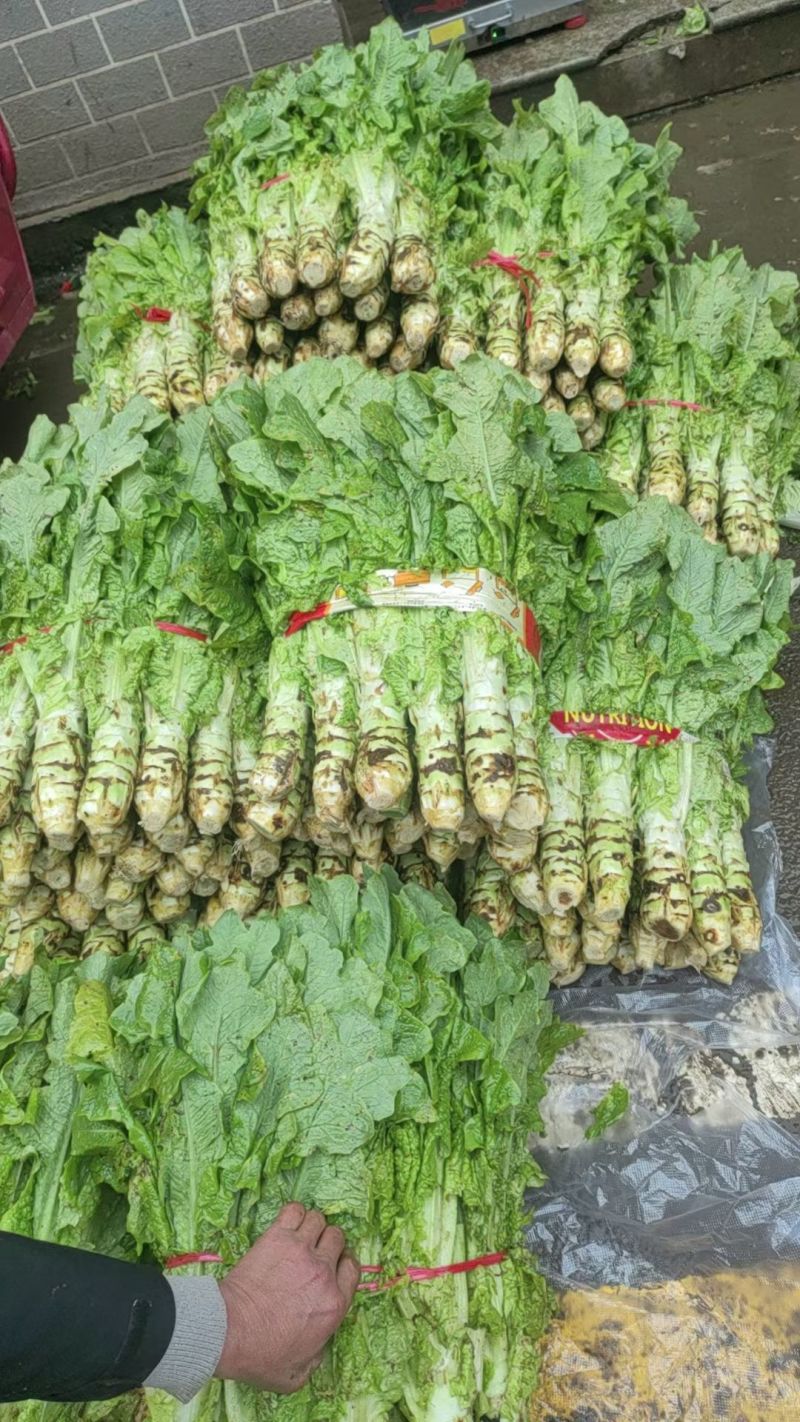 个头小净菜