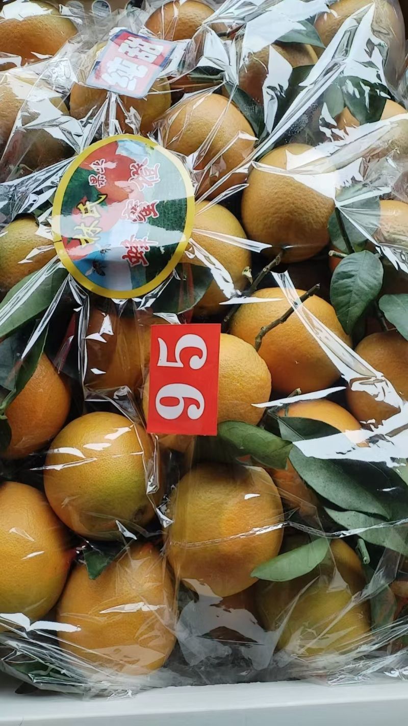 赣南脐橙蜂蜜味纯甜