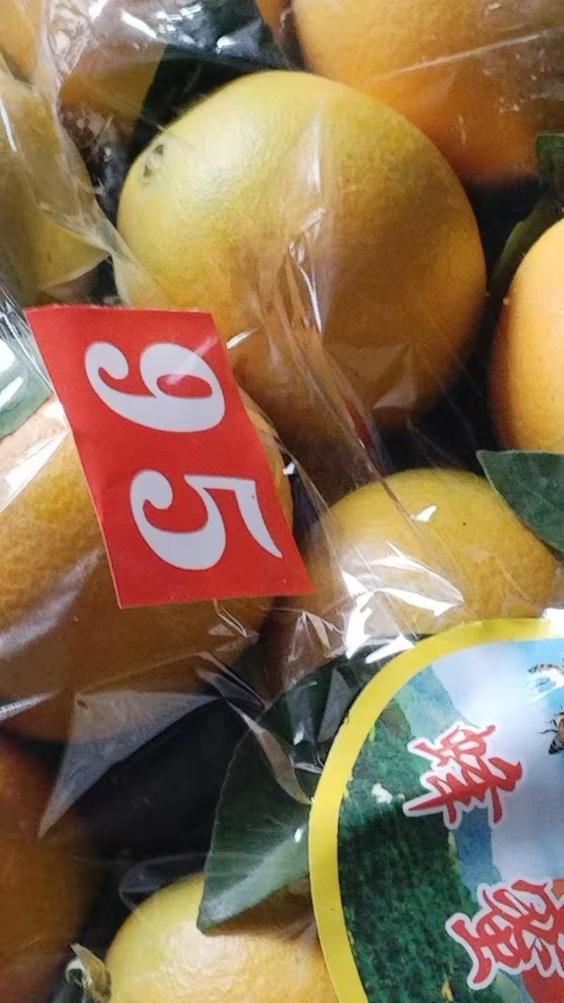 赣南脐橙蜂蜜味纯甜