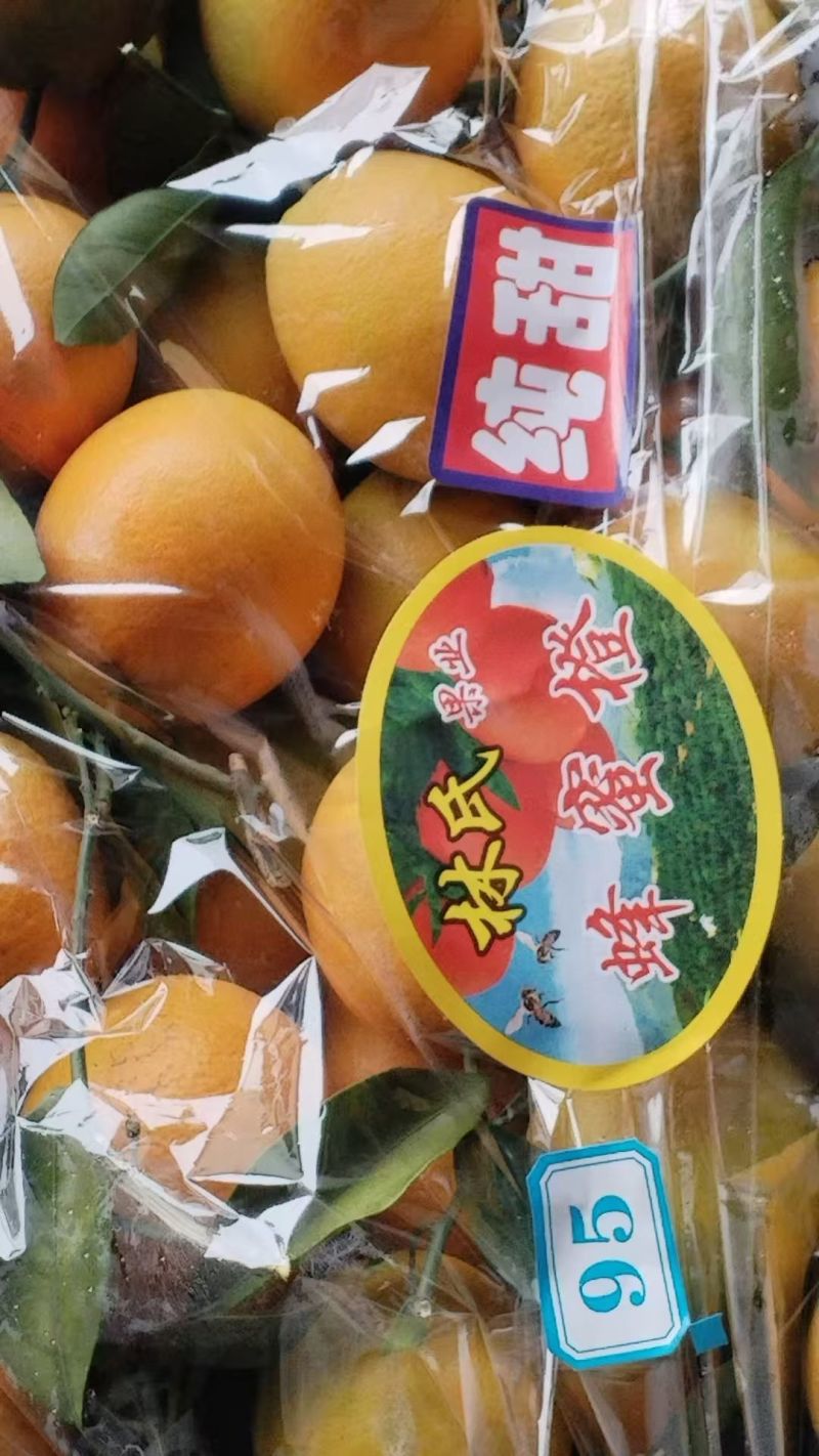赣南脐橙蜂蜜味纯甜