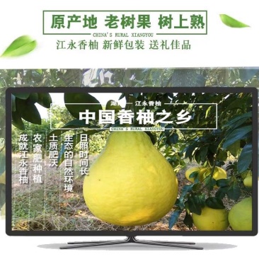 江永香柚