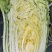 黄芯大白菜