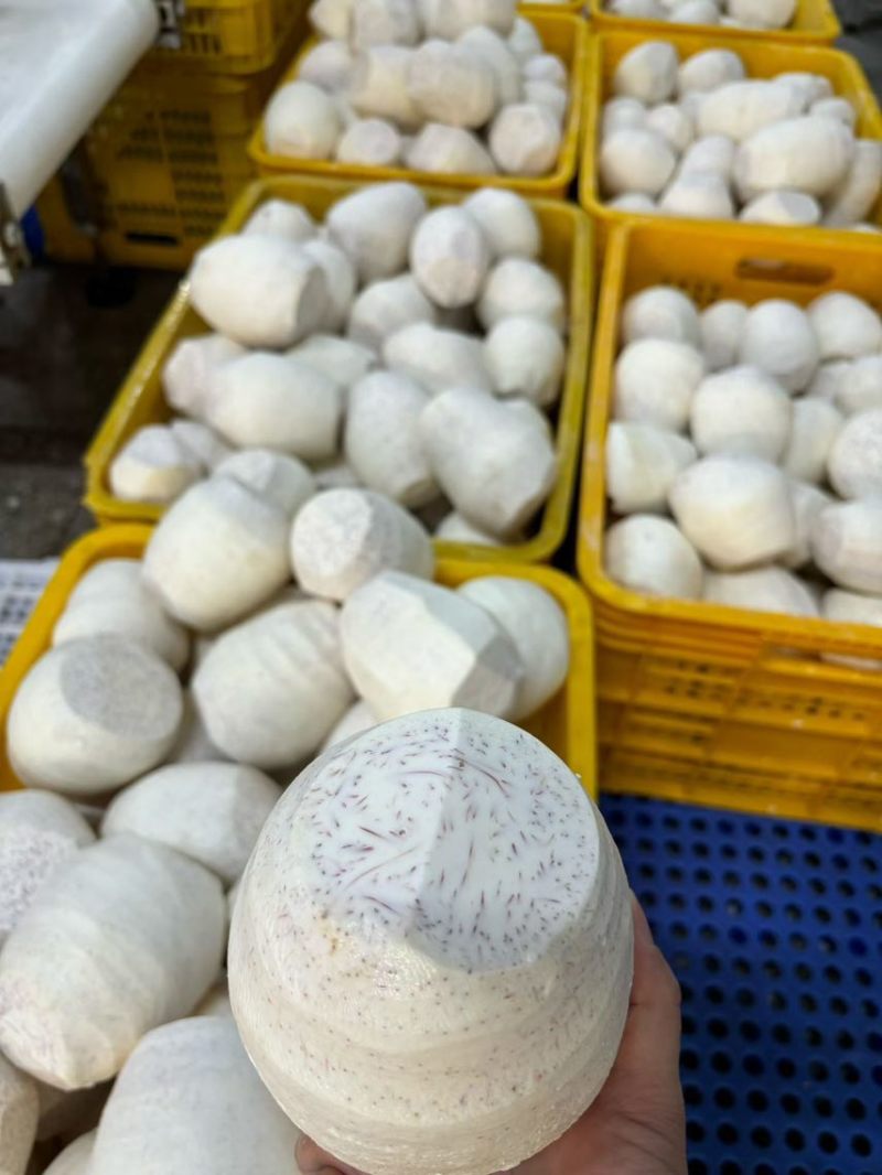 荔浦芋头速冻芋头块芋头肉荔浦香芋去皮芋头甜品奶茶店芋头批发
