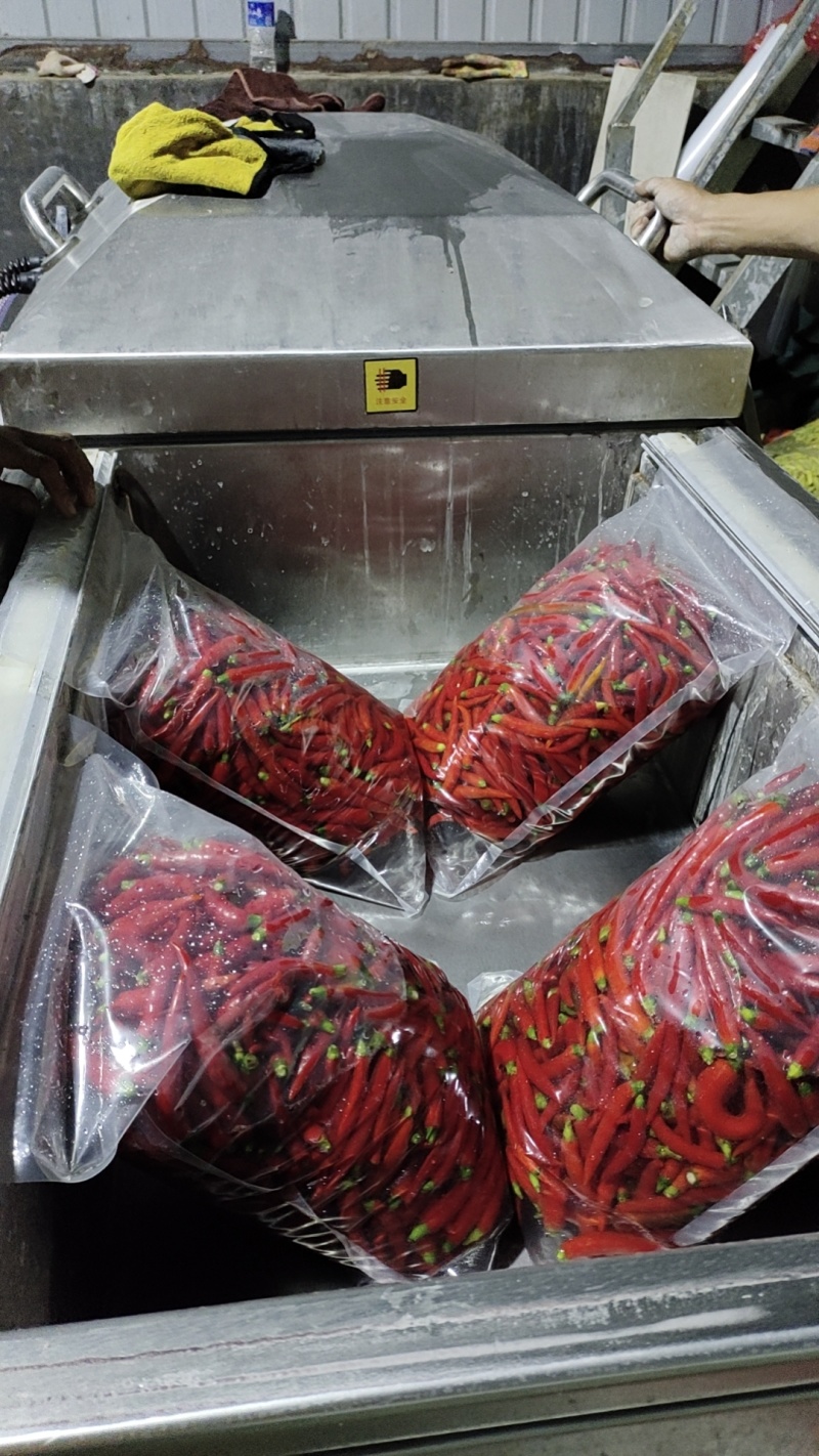 【餐饮批发】云南农家泡小米辣泡椒野山椒泡椒凤爪散称不加水，好