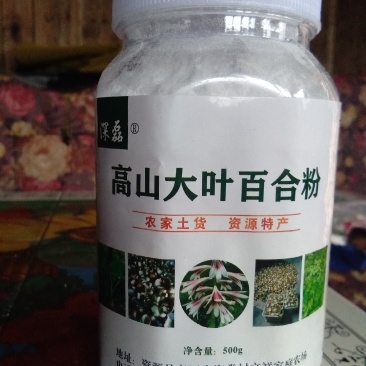 大叶百合粉