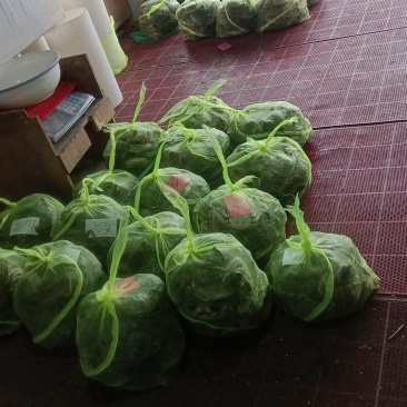 兴化大闸蟹养殖基地发货