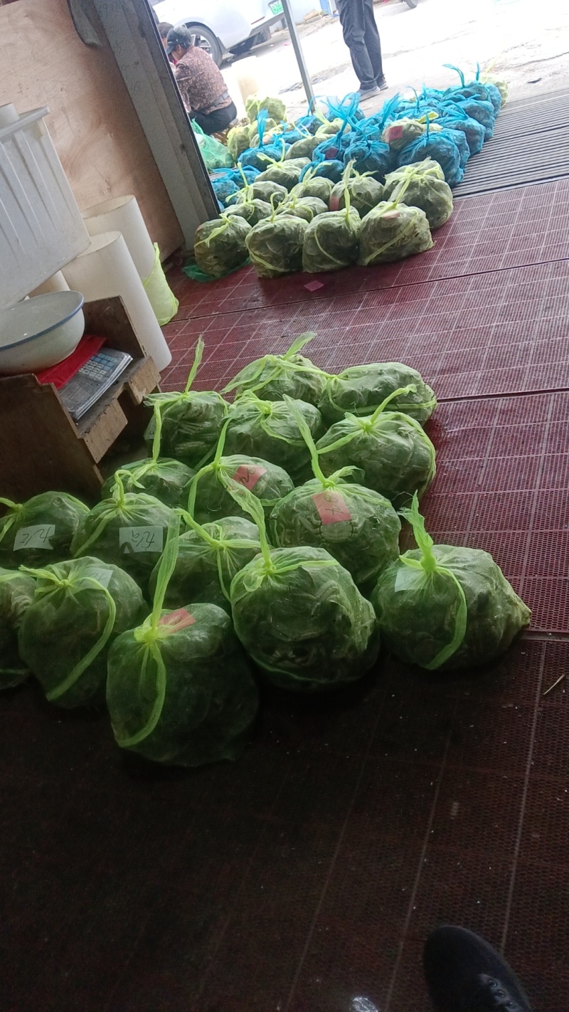 兴化大闸蟹养殖基地发货