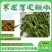 山东枣庄皱皮辣椒芜湖椒
