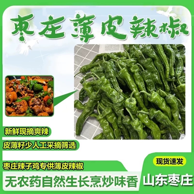 山东枣庄皱皮辣椒芜湖椒