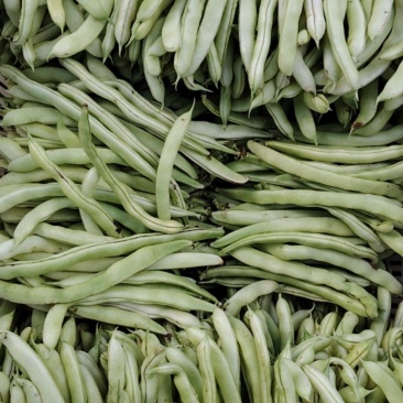 奶油豆