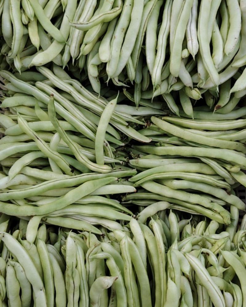 奶油豆