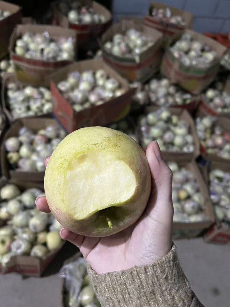 自家苹果🍎老品种红富士，口感清脆皮薄，放心食用，欢迎选购。
