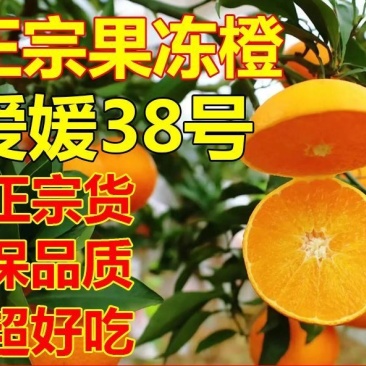 爱媛