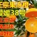 爱媛
