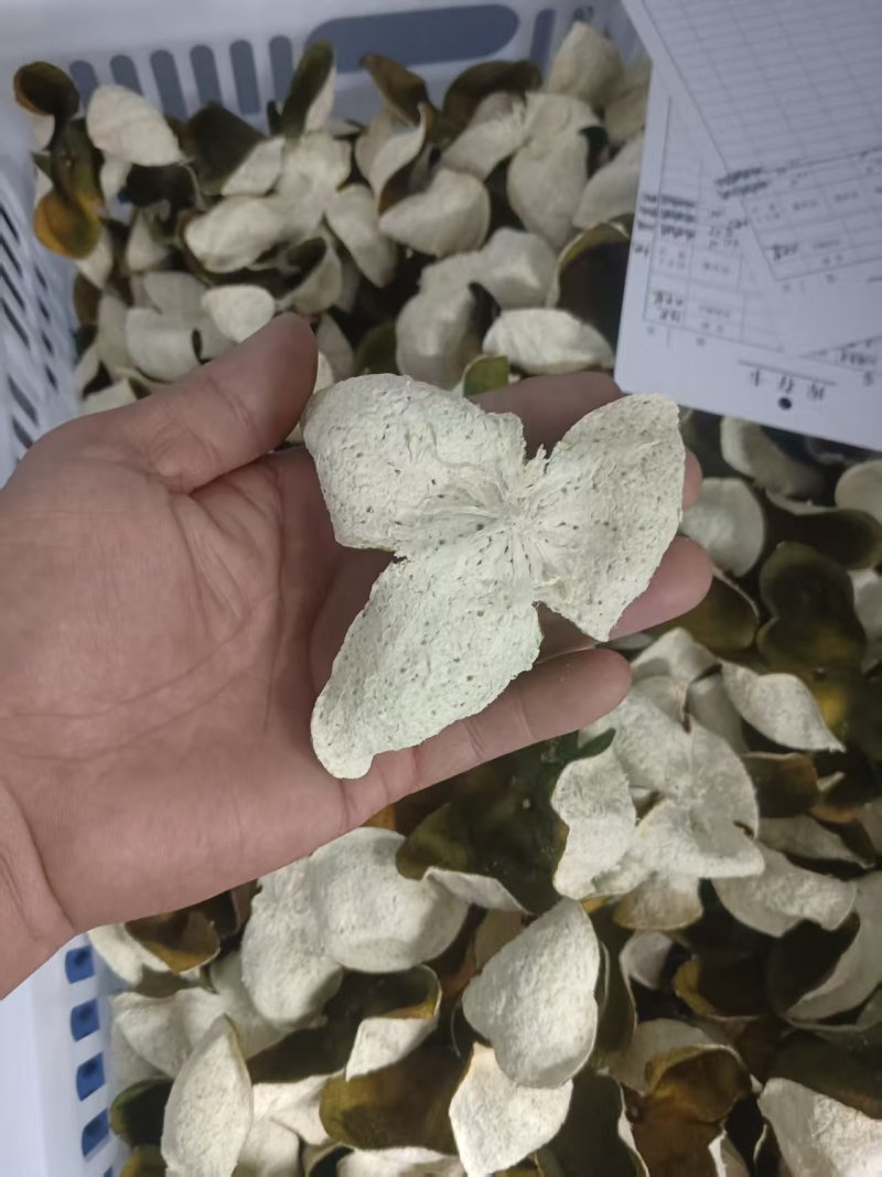 精选纯正新会陈皮25年广东新会大青新皮质量保证全国发货