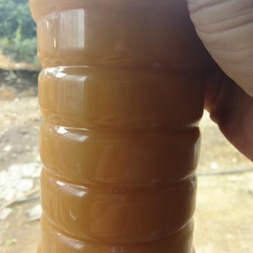 四明山土蜂蜜，蜂群蜂蜡野蜂蜜***********成先生