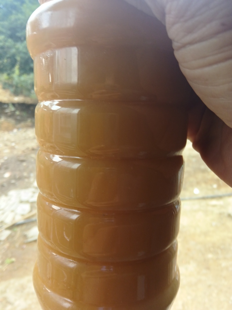 四明山土蜂蜜，蜂群蜂蜡野蜂蜜***********成先生