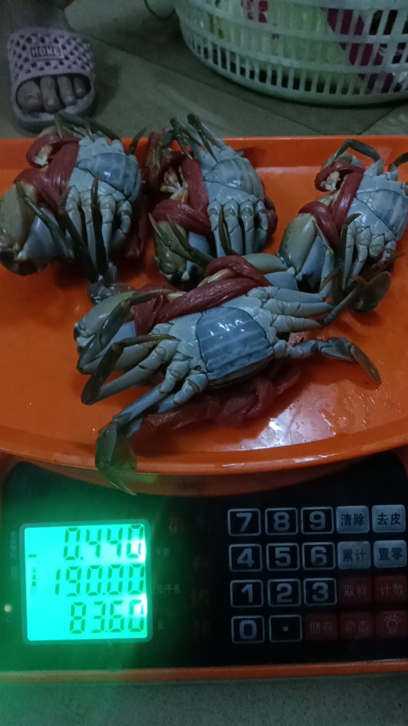 螃蟹