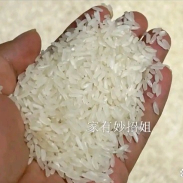 有机